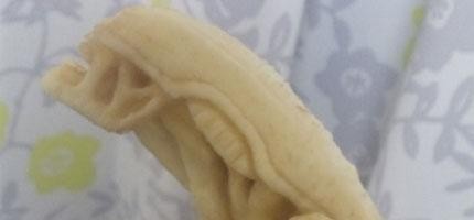 香蕉雕刻藝術