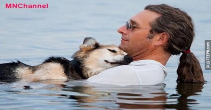 狗狗有關節炎所以主人帶他到海裡紓解痛楚